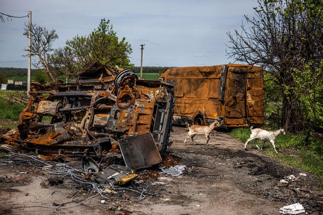 Spopadi v Ukrajini imajo mednarodne posledice. FOTO: Dimitar Dilkoff/AFP
