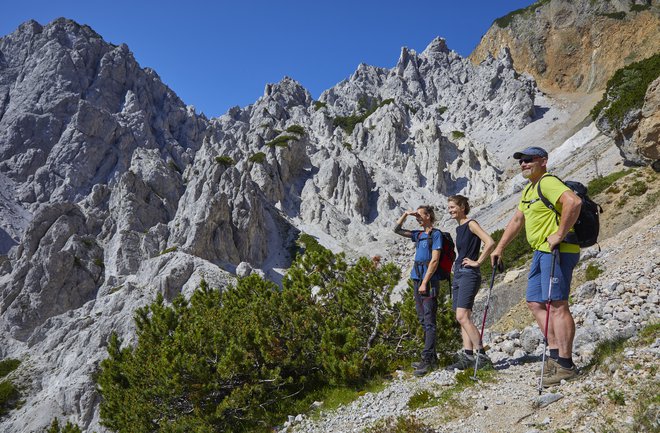 Košuta, najmogočnejši masiv v osrednjem delu Karavank. FOTO: Vanč Pisar
