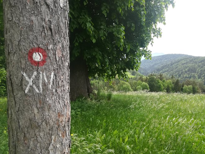 Označba, po kateri prepoznamo pot spomina na težek pohod XIV. divizije. FOTO: Simona Bandur
