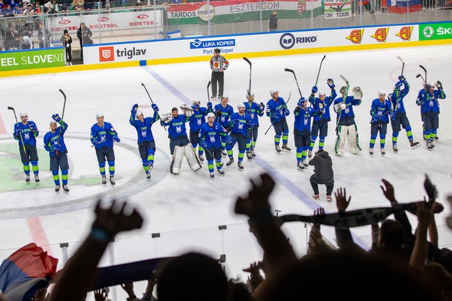 Slovenski risi želijo nastopiti med svetovno elito na domačem ledu. FOTO: Voranc Vogel/Delo
