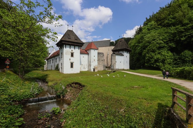 Žičko kartuzijo obišče od 15.000 do 20.000 ljudi na leto. Nekateri prihajajo na izlet, spet drugi tukaj iščejo mir. FOTO: Črt Piksi/Delo
