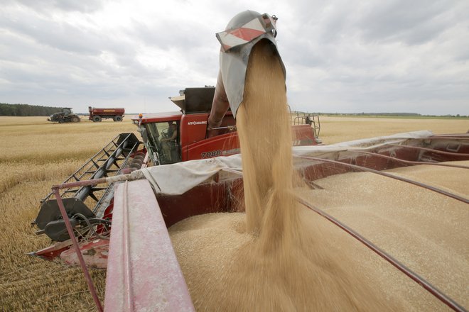 Neuspešno odprtje ukrajinskih pristanišč bi po navedbah Svetovnega programa za hrano pomenilo napoved vojne svetovni prehranski varnosti. Foto: Anatolij Stepanov/AFP
