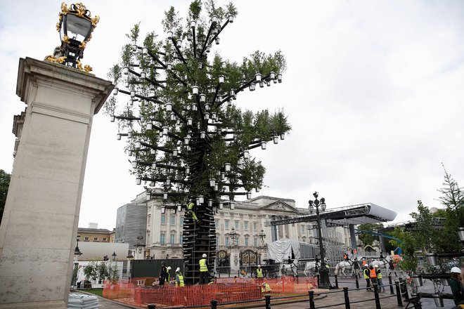 Pred Buckinghamsko palačo se že dviga 21-metrska skulptura Drevo dreves, v katerih se dviga 350 vrst dreves, ki rastejo v Britaniji. Oktobra jih bodo posadili v lokalnih skupnostih. FOTO: FOTO: Peter Nicholls/ Reuters
