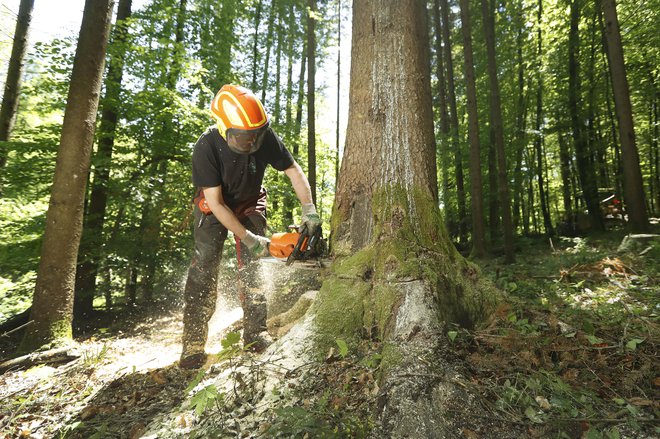 Fotografija je simbolična. FOTO: Leon Vidic/Delo
