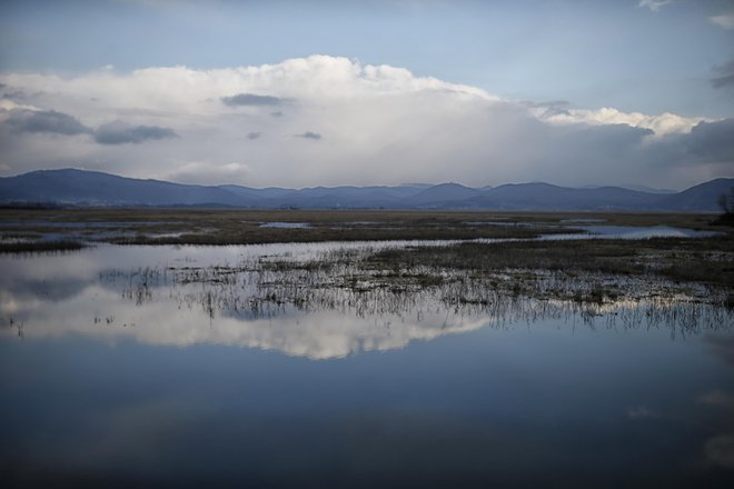 &raquo;Lokomotiva&laquo; vedno težje sopiha. Viri so omejeni, podnebne spremembe so tu, kupna moč (poceni delovne sile) hitro pada &hellip;Foto Blaž Samec/Delo
