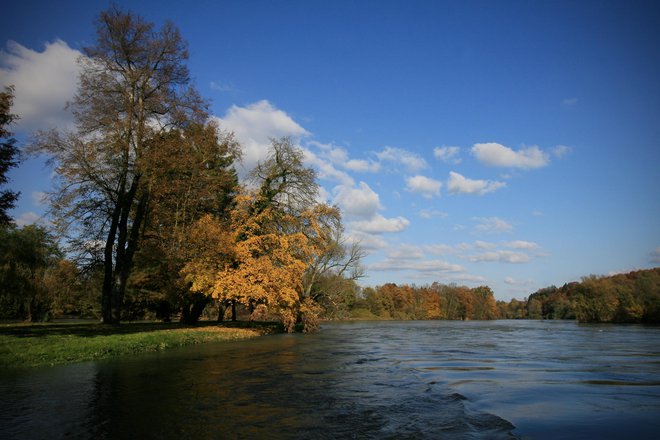 Fotografija je simbolična. FOTO: Uroš Hočevar
