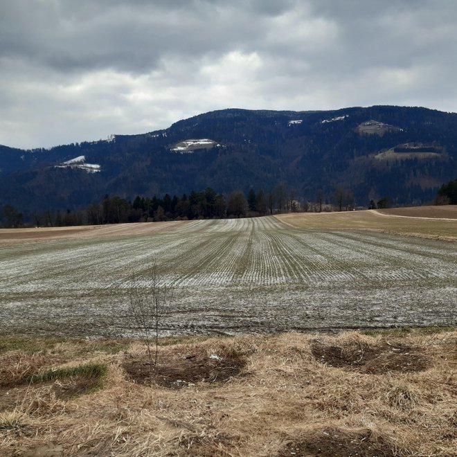 Za kaznivo dejanje obremenjevanja in uničevanja okolja je predvidena zaporna kazen od enega do osmih let oziroma do dvanajstih let, če bi imelo to dejanje za posledico smrt ene ali več oseb. FOTO: PU Celje
