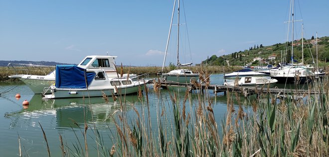 Jernejev kanal se bo spremenil v prestižno privezovališče za manjša plovila. Foto Boris Šuligoj
