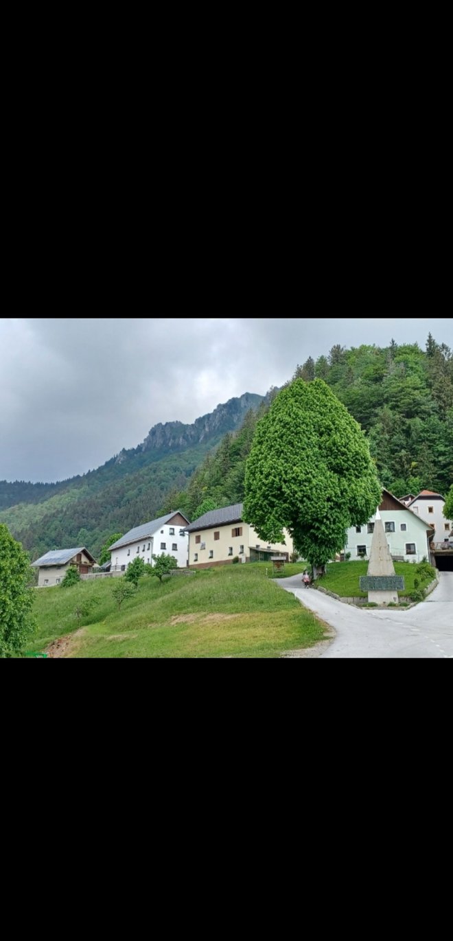 Prtovč. In pika. FOTO: Grega Kališnik
