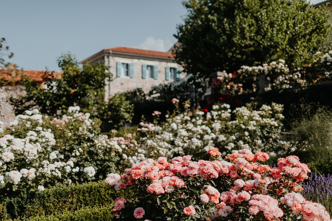 Minuli teden so v sodelovanju s francoskim veleposlaništvom pripravili literarna in umetniška srečanja, po­imenovana Rendez-vous: Rožni vrtovi Ville Fabiani. FOTO: arhiv Ville Fabiani
