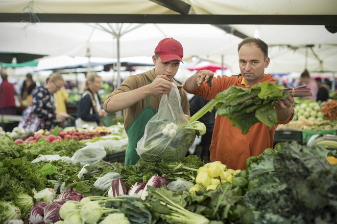 Če država noče velikih podražitev hrane, bo morala kmetom ponuditi subvencije za pokritje višjih stroškov. FOTO: Jure Eržen/Delo
