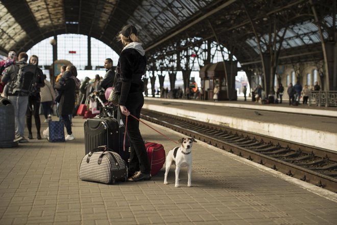 Več kot tri mesece po aktivaciji zakona o začasni zaščiti je še ogromno razseljenih Ukrajincev brez ustreznega statusa in denarne pomoči. FOTO: Jure Eržen/Delo
