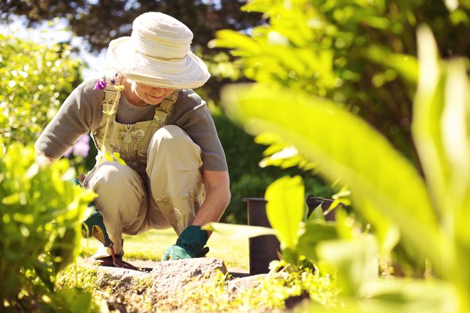 &raquo;Veš, če se mi to ne bi zgodilo, ne bi imela kaj početi, vrt je bil popoln. Zdaj, ko ni ničesar več, moram preprosto začeti znova in spet imam kaj delati,&laquo; mi je rekla. FOTO: Shutterstock
