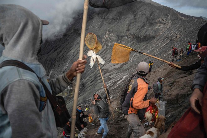 Na vulkanskem otoku Java skuša član indonezijske etnične skupine Tengger ujeti živo kokoš, ki so jo drugi verniki kot daritev vrgli v krater aktivnega vulkana Bromo v okviru festivala Yadnya Kasada. Foto: Juni Kriswanto/Afp
