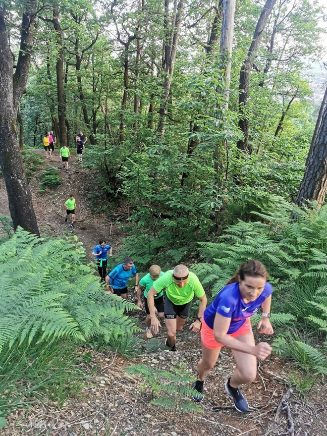 Na vadbe se lahko na spletni strani dogodka prijavijo vsi, ki se želijo dobro pripraviti na eno od tekaških preizkušenj septembrskega Triglav teka. FOTO: promocijsko gradivo
