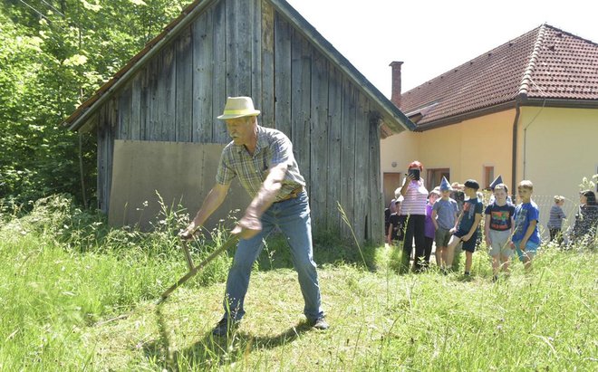 Udeleženci poletnih taborov, jeseni pa tudi šol v naravi, bodo med drugim spoznavali kmečko delo. FOTO: Boris Keber

