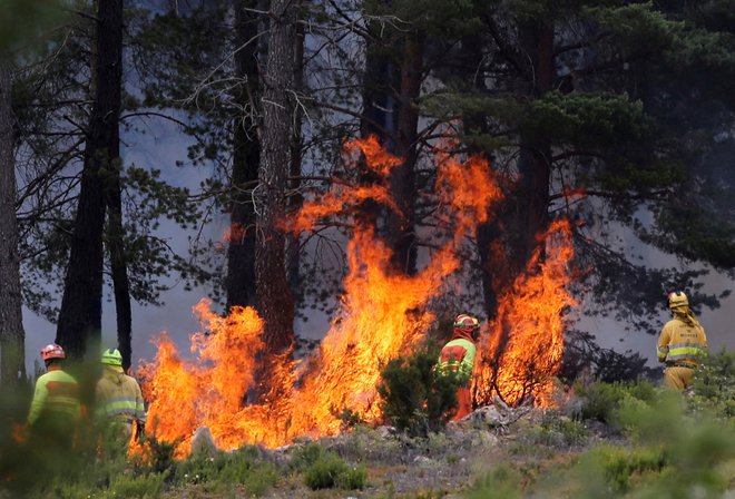 Ogenj je v hribovitem območju Sierra de la Culebra na severozahodu države, nedaleč od meje s Portugalsko, izbruhnil prejšnji teden. FOTO: Isabel Infantes/Reuters
