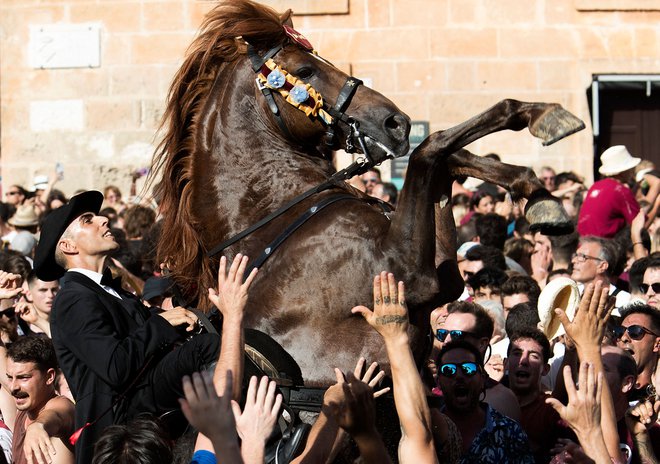 V mestu Ciutadella na španskem otoku Minorca je potekalo množično srečanje konj in ljudi, ki se vrtijo v ritmu glasbe v okviru tradicionalnega festivala Sveti Janez, na predvečer verskega praznika. Foto: Jaime Reina/Afp
