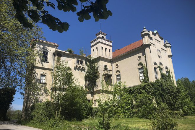 Občina za obnovo izjemnega primera orientalskega dvorca od ministrstva za kulturo pričakuje milijon evrov. FOTO: Jure Eržen/Delo
