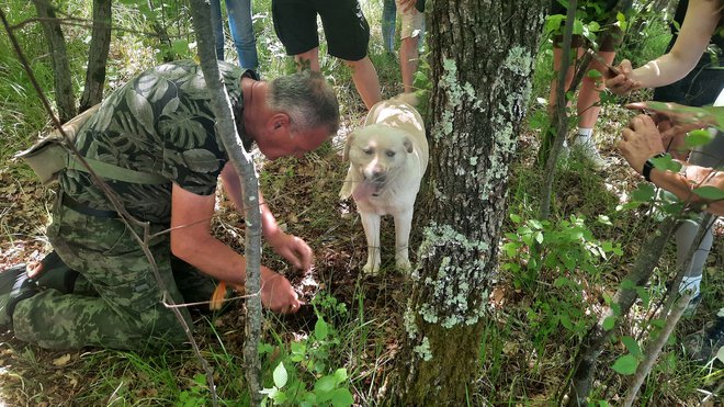 Bistra ni potrebovala več kot nekaj minut, da je odkrila kulinarični zaklad. FOTO: Agata Rakovec/Delo
