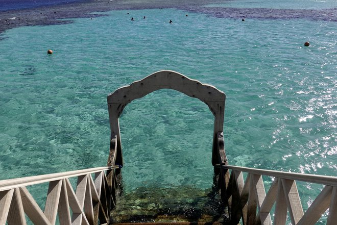 Ženska, ki je s plavutkami plavala v zalivu, naj bi se po napadu ob pomoči drugih turistov še rešila iz vode. FOTO: Amr Abdallah Dalsh/Reuters
