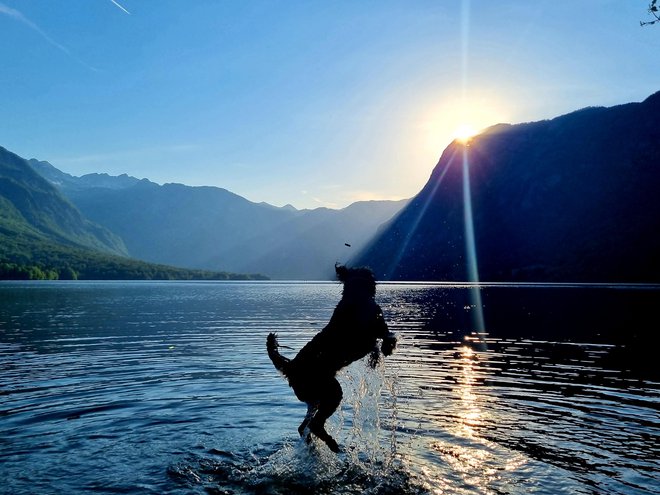 Loto v elementu na Bohinjskem jezeru. FOTO:&nbsp;Boštjan Videmšek&nbsp;
