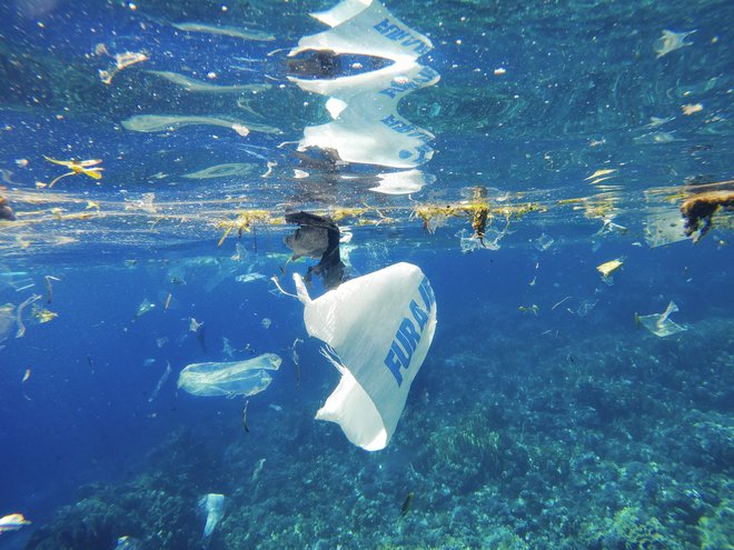 Plastična embalaža zaduši veliko rib in morskih ptic. FOTO: Olenalavrova/Shutterstock

