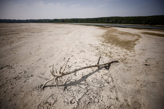 Izsušena struga reke Pad, najdaljše reke v Italiji. Padsko nižino je prizadela najhujša suša v zadnjih 70 letih. FOTO: Guglielmo Mangiapane/Reuters
