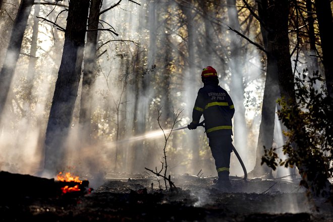 Gašenje požar v Premanturi. FOTO: Srečko Niketić/Pixsell
