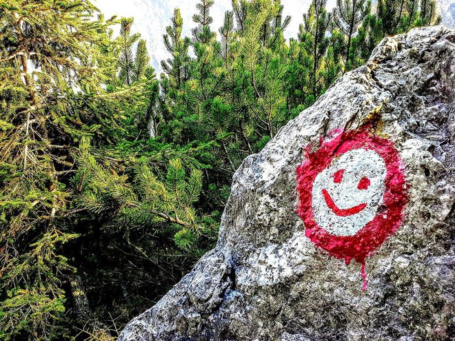 Rdeče-beli krog je postal simbol slovenskega planinstva in slovenstva. FOTO: Tina Horvat
