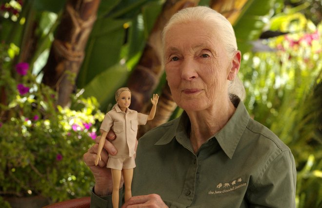 Jane Goodall in njena Barbika. FOTO: Jane Goodall Institute/Reuters
