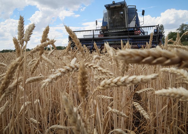 Za nahranitev naraščajočega svetovnega prebivalstva mora kmetijski sektor povečati produktivnost, in sicer na do okolja prijazen način, meni OECD. FOTO: Gleb Garanich/Reuters
