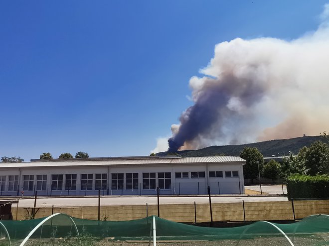 Požar se hitro širi zaradi suše in burje. FOTO: Sandra Intihar
