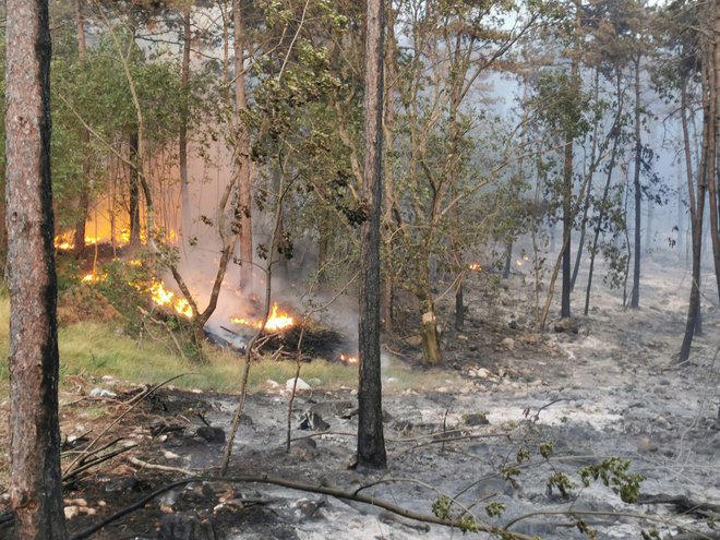 Uničenje, ki ga je povzročil požar. Fotografirano v nedeljo pozno popoldne. FOTO: Ervin Čurlič/Regijski štab CZ za Severno Primorsko
