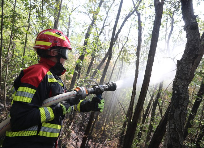 FOTO: Dejan Javornik
