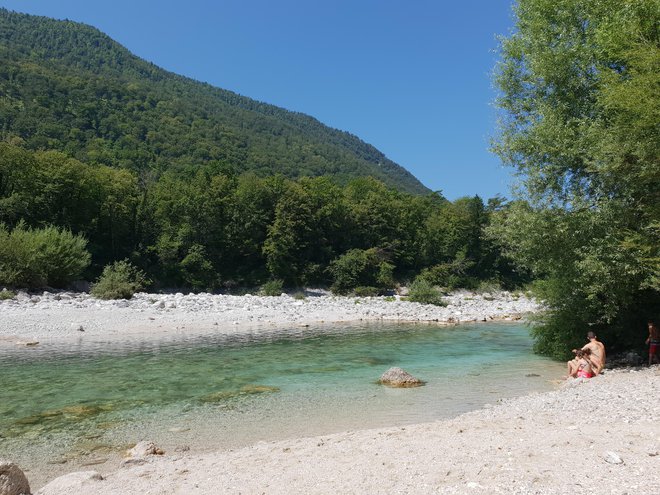 Do Obale bi lahko speljali del Soče, predlaga Anton Komat. FOTO:&nbsp;Špela Kuralt/Delo
