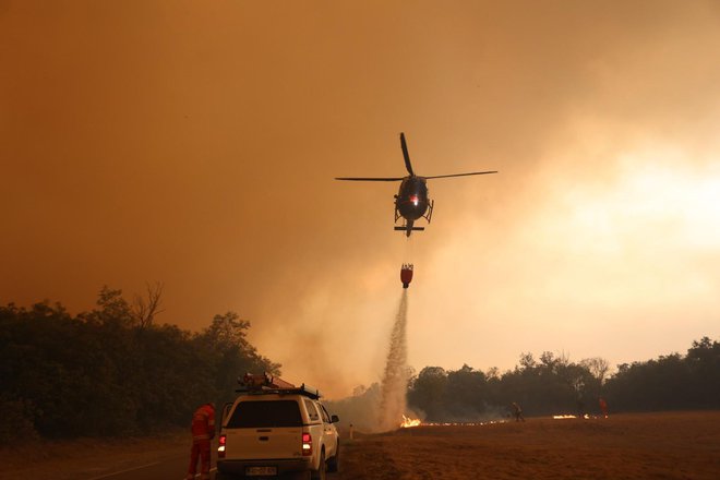 Požar na Krasu FOTO: Črt Piksi/Delo
