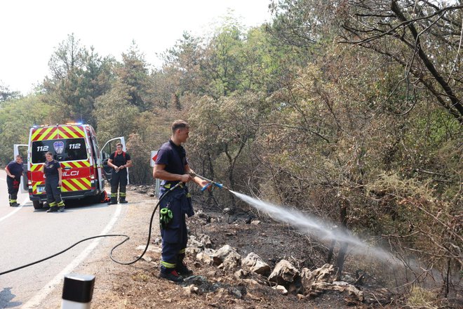 Že drugi dan na Krasu 1000 gasilcev. FOTO: Črt Piksi
