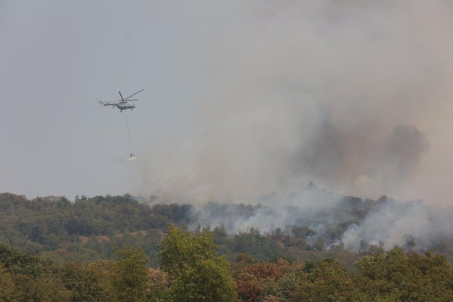 FOTO: Črt Piksi/Delo
