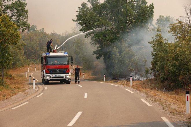 FOTO: Črt Piksi/Delo
