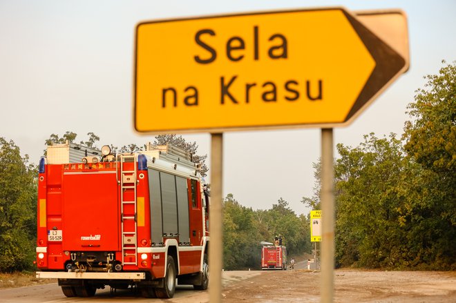 Požar na Krasu. FOTO: Črt Piksi/Delo
