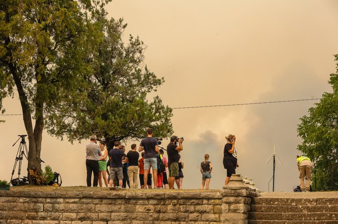 Požar na Krasu. FOTO: Črt Piksi/Delo
