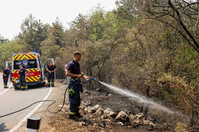 Požar na Krasu. FOTO: Črt Piksi/Delo
