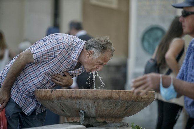 V vročih dneh se zadržujmo v senci in pijmo dovolj tekočine FOTO: Blaž Samec/Delo
