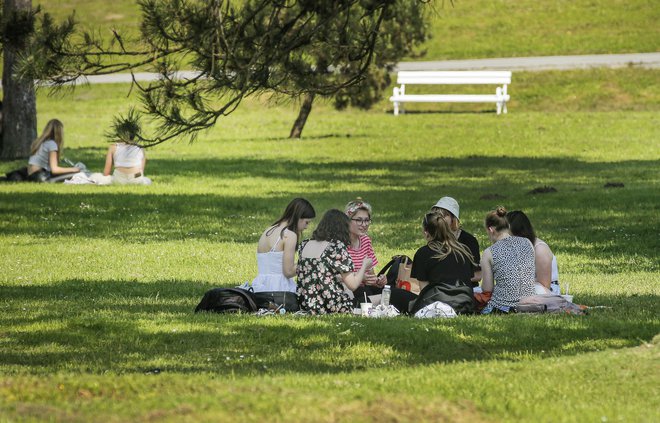 Da, tudi s hrano se da ohladiti. Ne samo s sladoledom. FOTO: Jože Suhadolnik/Delo
