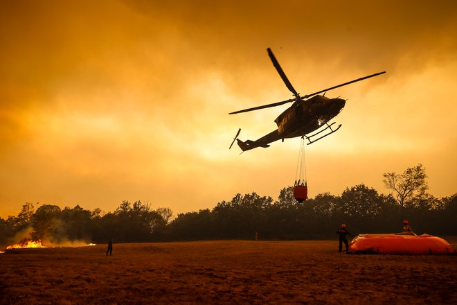 Grozljivi prizori iz bližine Kostanjevice na Krasu FOTO: Črt Piksi
