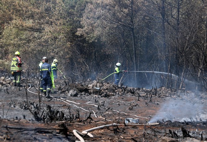 Gasilcem danes na pomoč prihaja tudi 800 kolegov iz več regij po državi. FOTO: Dejan Javornik
