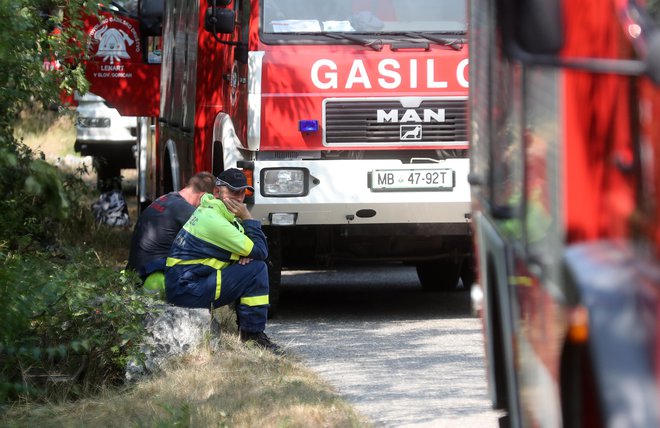 Požar na Krasu. FOTO: Dejan Javornik/Slovenske novice
