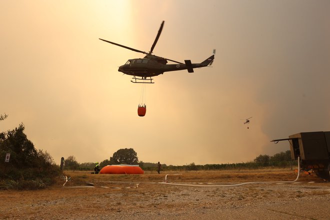 Požar na Krasu. FOTO: Črt Piksi/Delo
