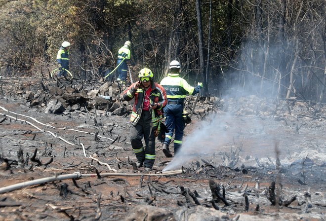 Požar na Krasu. FOTO: Dejan Javornik/Slovenske novice
